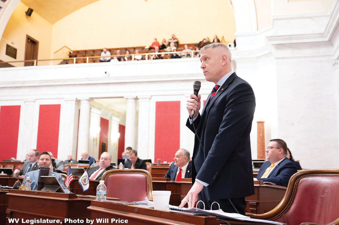 Senate GOP backs privatizing some child welfare services